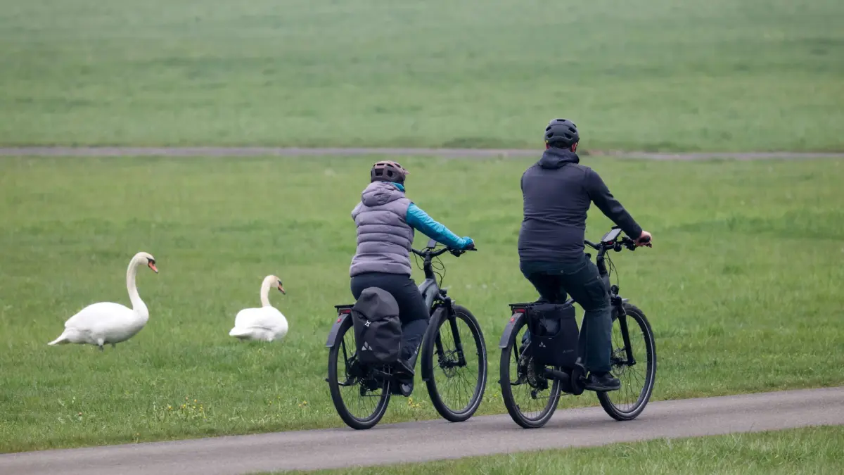 Wetter in Baden-Württemberg: 11.04.2026, Baden-Württemberg, Riedlingen: Radfahrer fahren auf dem Donau-Radweg an zwei Schwänen vorbei. Foto: Thomas Warnack/dpa +++ dpa-Bildfunk +++