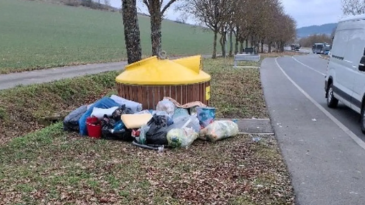 Container an der B 290 zwischen Gerlachsheim und Tauberbischofsheim mit illegal abgelagertem Müll: Um künftig solche Bilder zu vermeiden, lobt der Landkreis eine Fangprämie für Müllsünder aus.