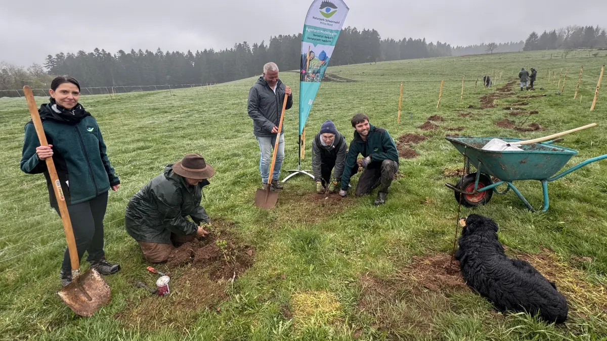 In Loßburg-Schömberg wurde ein Agroforst-Projekt gestartet.