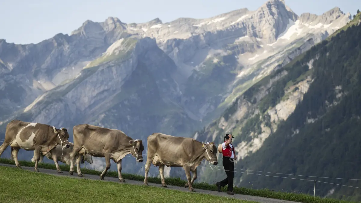 Alpenidylle in der Schweiz: Diese Bilder gibt es an vielen Stellen nur noch für die Touristen.