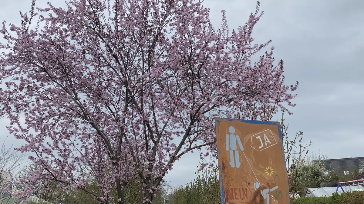 Ein bisschen Farbe: Trotz grauem Himmel werkeln schon einige Gärtner in der Schrebergarten-Anlage am Alten Postweg in Ehingen. Rund 50 Parzellen gibt es dort.
