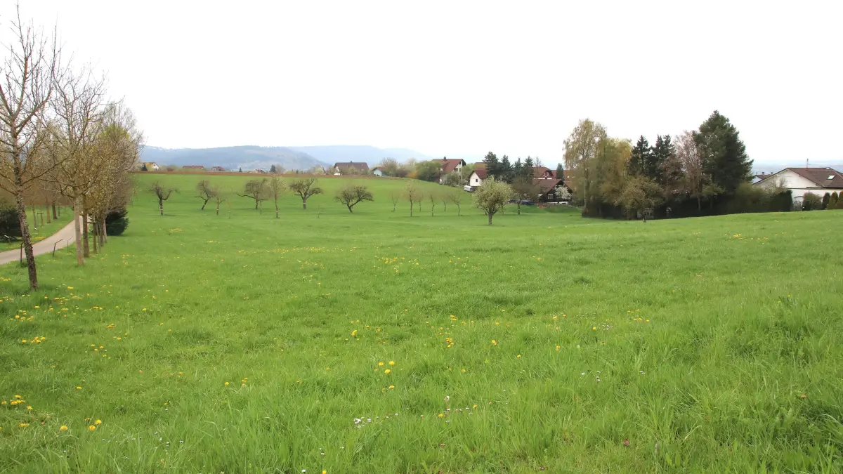 Hier soll nach dem Willen des Empfinger Gemeinderats mit dem Baugebiet "Heimatblick" neuer Wohnraum in der Gemeinde geschaffen werden.