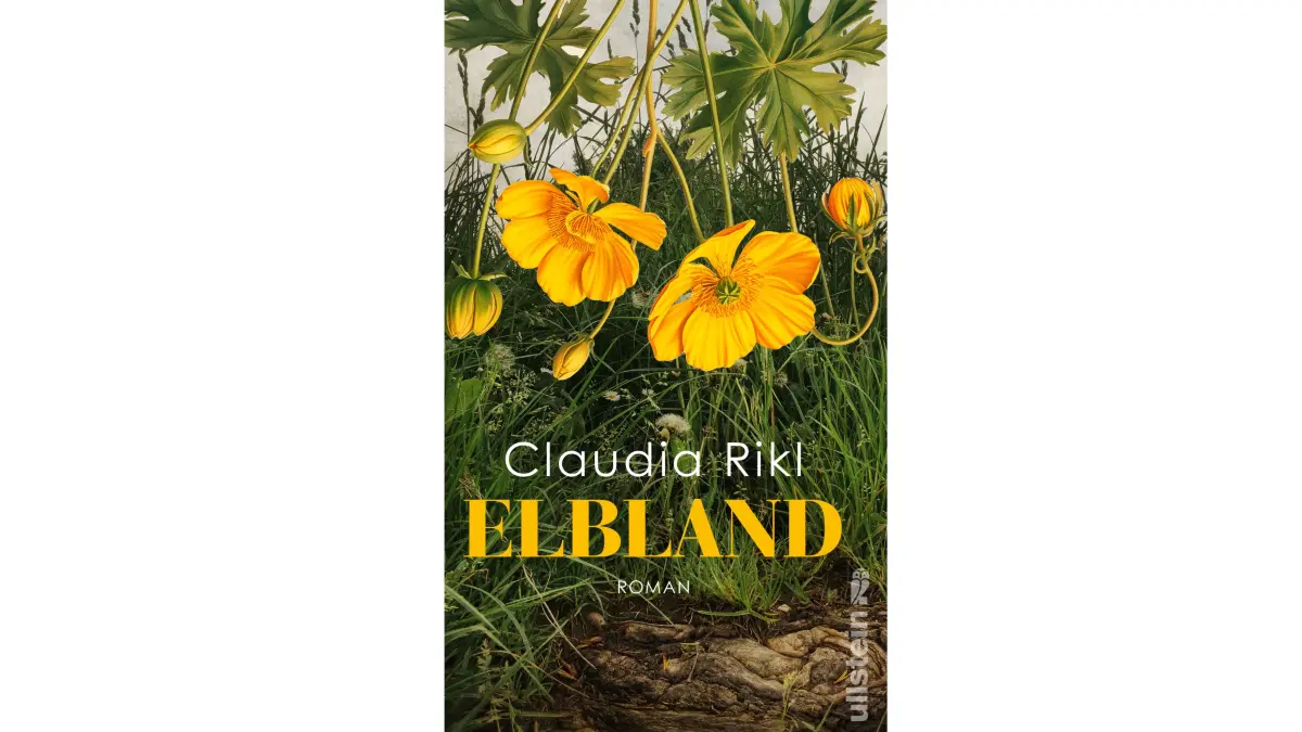 Claudia Rikl: Elbland. Ullstein, 368 Seiten, 23,99 Euro.
