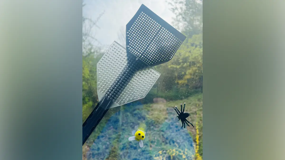 Catchy Batchy - Der besondere Insektenfänger Made in Hohenlohe