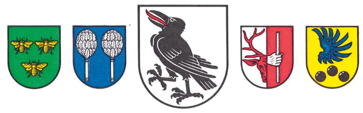 Die schönen Härtenblumenfelder⇥honararfrei