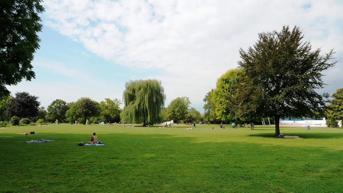 Tiergartenbad Heidelberg, Freibad, Pool, Liegewiese, Volleyball