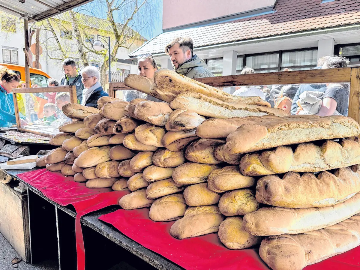 Das Frühlingserwachen in Dettingen an der Erms bietet seinenzahlreichen Besucherinnen und Besuchern Jahr für Jahr ein buntes Programm für die ganze Familie sowie zahlreiche regionale Produkte auf dem Markt und tolle Angebote am verkaufsoffenen Sonntag. Fotos: Gemeinde Dettingen an der Erms