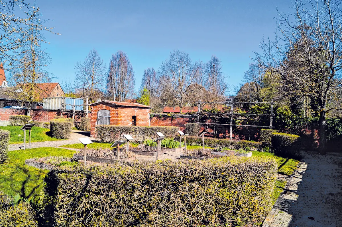 Der Kräutergarten ist Teil des Lehrer Gartens, der neben den vielen Pflanzen auch Raum für Begegnungen bietet.⇥