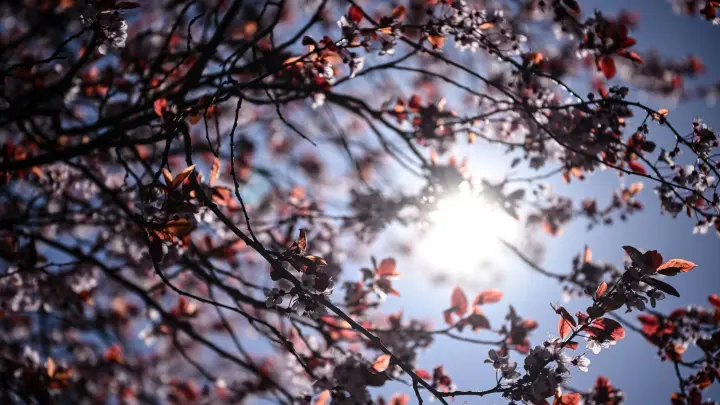Viel Sonne am Wochenende – bevor der Regen zurückkommt