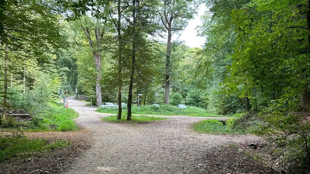 Eichertwald in Göppingen