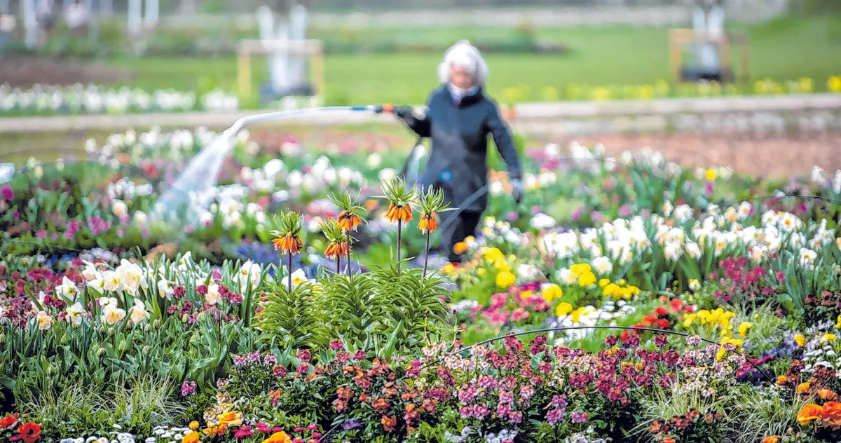 Margarete May gießt Blumen auf dem Gelände der Landesgartenschau in Ellwangen. Am 24. April wird sie eröffnet.⇥Foto: Stefan Puchner/dpa