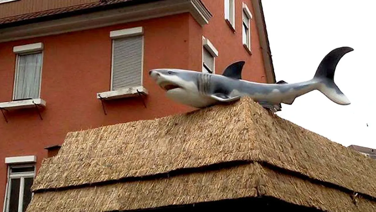 Hai am El Pecado: Vorsicht: Dieses Foto ist möglicherweise nur für den einstigen Verlag Schwäbisches Tagblatt verwendbar. Der Weiße Hai Am Stadtgraben: Bis Sonntagabend war er noch das Wahrzeichen des Restaurants El Pecado. Bild: El Pecado