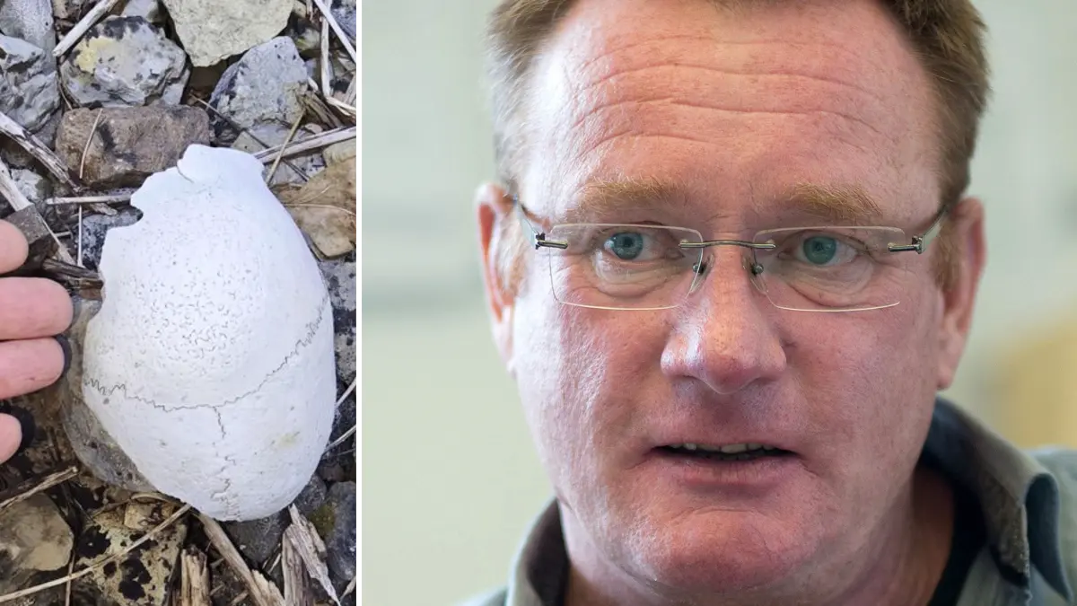 Schädel, gefunden in Rottenburg / Forensiker Frank Wehner