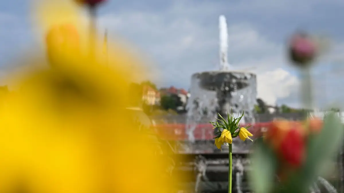 Wetter in Baden-Württemberg: 16.04.2026, Baden-Württemberg, Stuttgart: Blumen stehen vor einem der Springbrunnen auf dem Stuttgarter Schlossplatz. (zu dpa: «Frühlingspause: Wo Regen und Gewitter drohen») Foto: Katharina Kausche/dpa +++ dpa-Bildfunk +++
