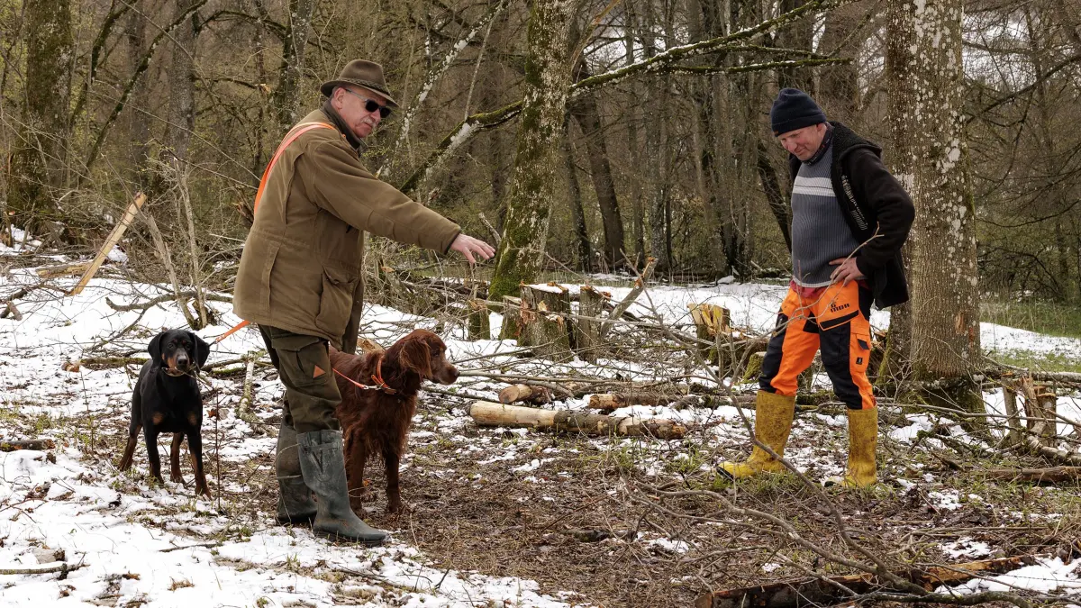 Ein Bild der Verwüstung und Zerstörung. Massive Schäden für Mensch und Natur entstanden durch unprofessionelle Arbeiten bei Ausgleichsmaßnahmen. Der Landschaftspflegebetrieb Kaiser aus Gerstetten-Gussenstadt, hat bei der Landschaftspflege im Gewann „Im Raller“ bei Wiesensteig offensichtlich rohe Kräfte walten lassen und ist unprofessionell vorgegangen. Den Landwirten entstand, von den Schäden in der Natur einmal abgesehen, ein noch nicht genauer bezeichneter finanzieller Schaden. Links der Wiesensteiger Stadtrat und gleichzeitig Jagdpächter des betroffenen Gebietes Wolfang Hauser mit seinen beiden Hunden und recht einer der betroffenen Landwirte Helmut Leutner.