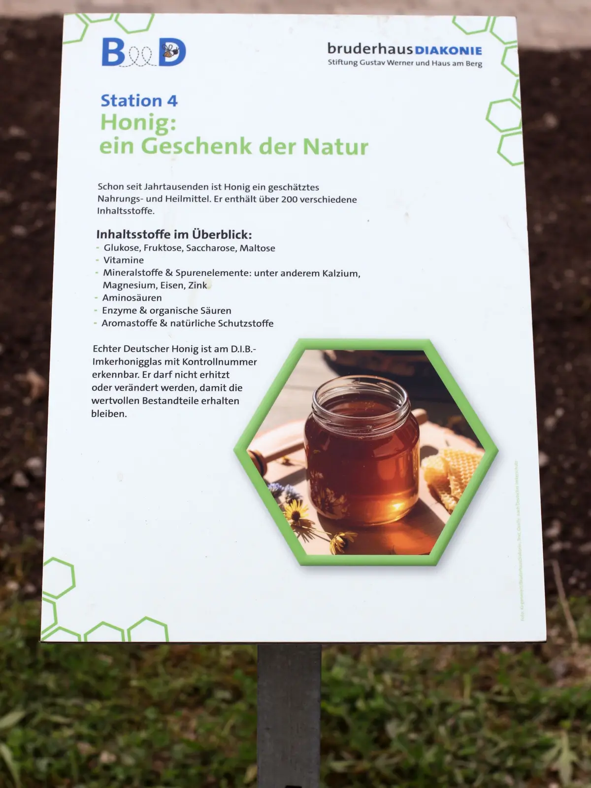 Neuer Bienenlehrpfad im Reutlinger Seniorenzentrum Markwasen.