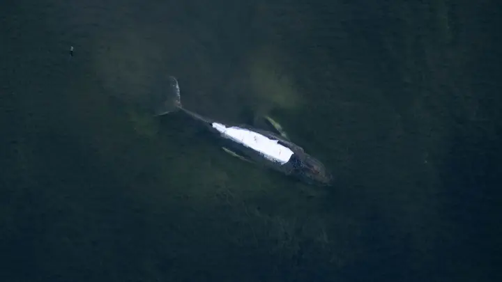 Fortgang von Rettungsversuch offen