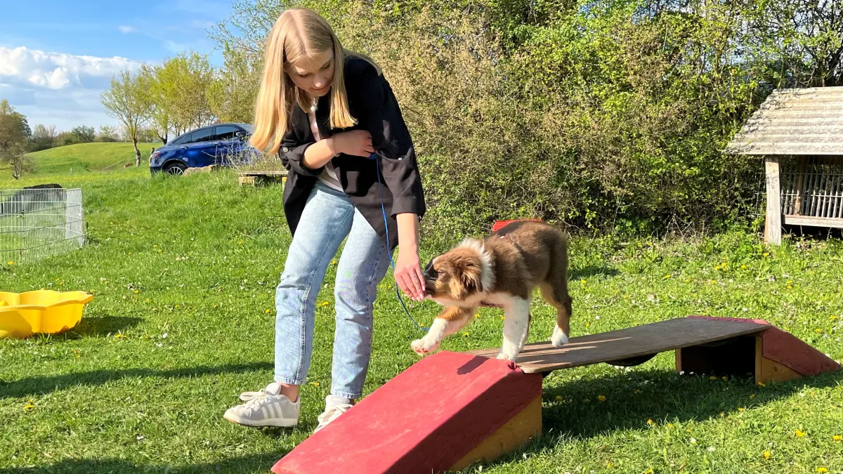 Bei den Hundefreunden Gaildorf ist im April 2026 wieder ein neuer Welpenkurs gestartet. Besuch bei einer Stunde in der Hundeschule.