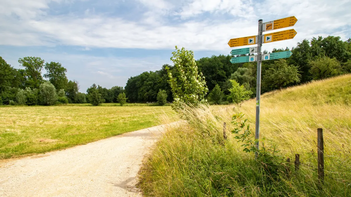 Zell Pliensbach Weg Richtung Hattenhofen Hintergrund Sulzwald