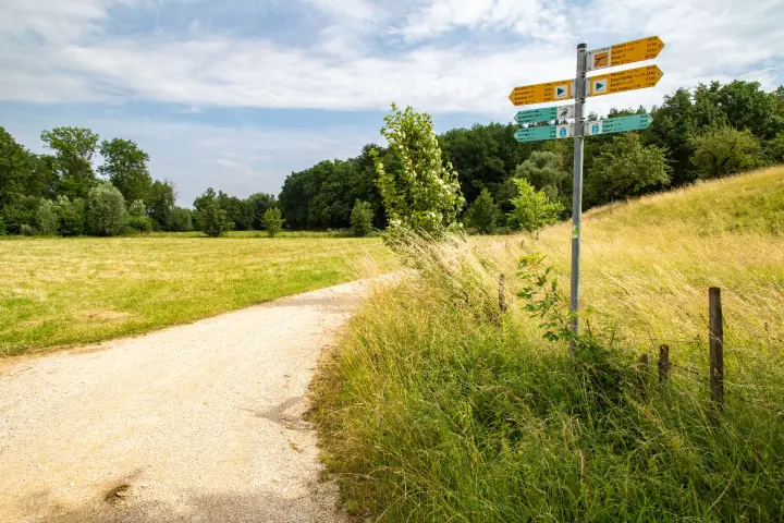 Wald für den Naturkindergarten