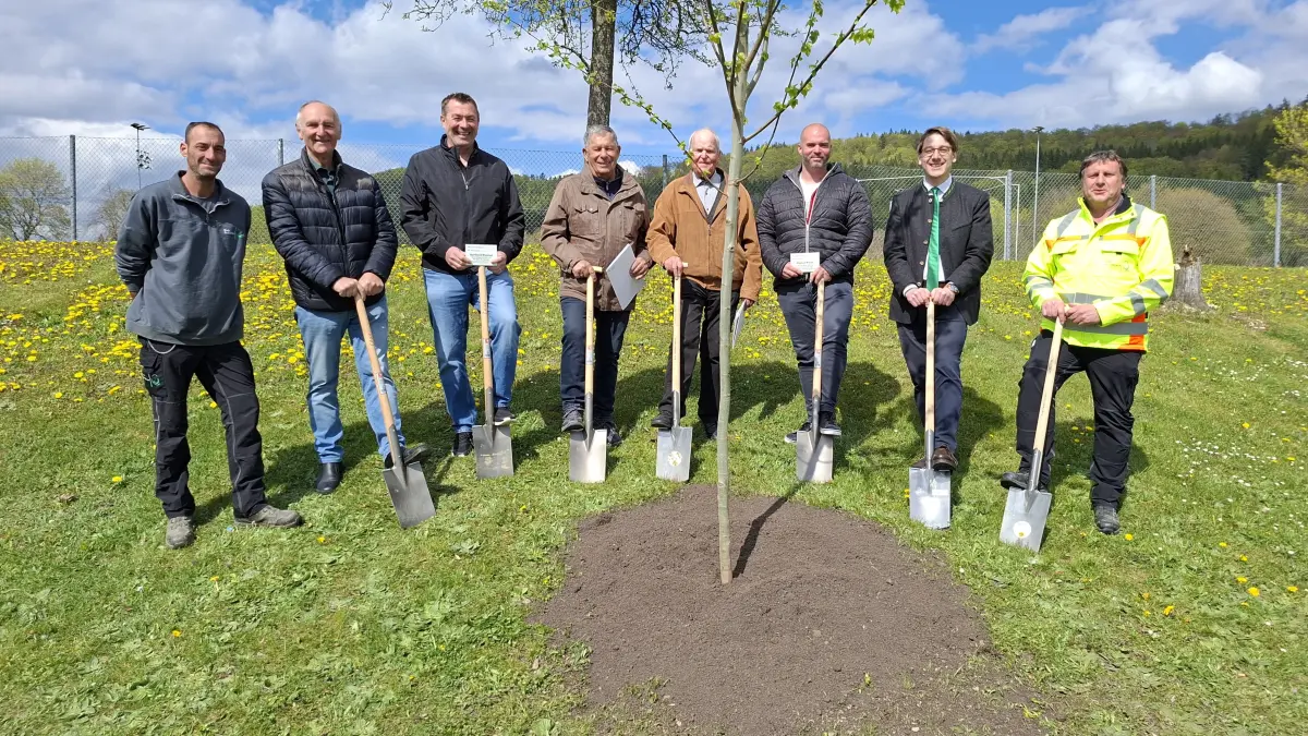 Pflanzug Espe Burladinger Neujahrsbaumpfad