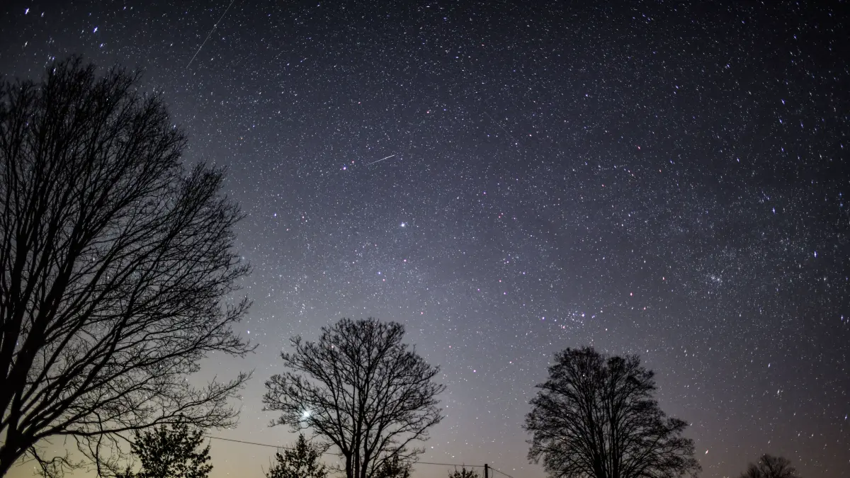 Der Sternenhimmel leuchtet in der Nacht über einer Allee. Meist sternenklarer Himmel ermöglicht in der kommende Nacht freie Sicht auf die Sternschnuppen der Lyriden. Die Erde durchquert den Schweif eines Kometen. Dieser sei 1861 im Sonnensystem entdeckt worden. Jedes Jahr um den 21., 22., 23. April durchquert die Erde den Rest dieses Kometenschweifs. Dabei kommen Staubpartikel in die Erdatmosphäre. Durch das Auftreffen verglühen diese Partikel und Sternschnuppen werden sichtbar. +++ dpa-Bildfunk +++
