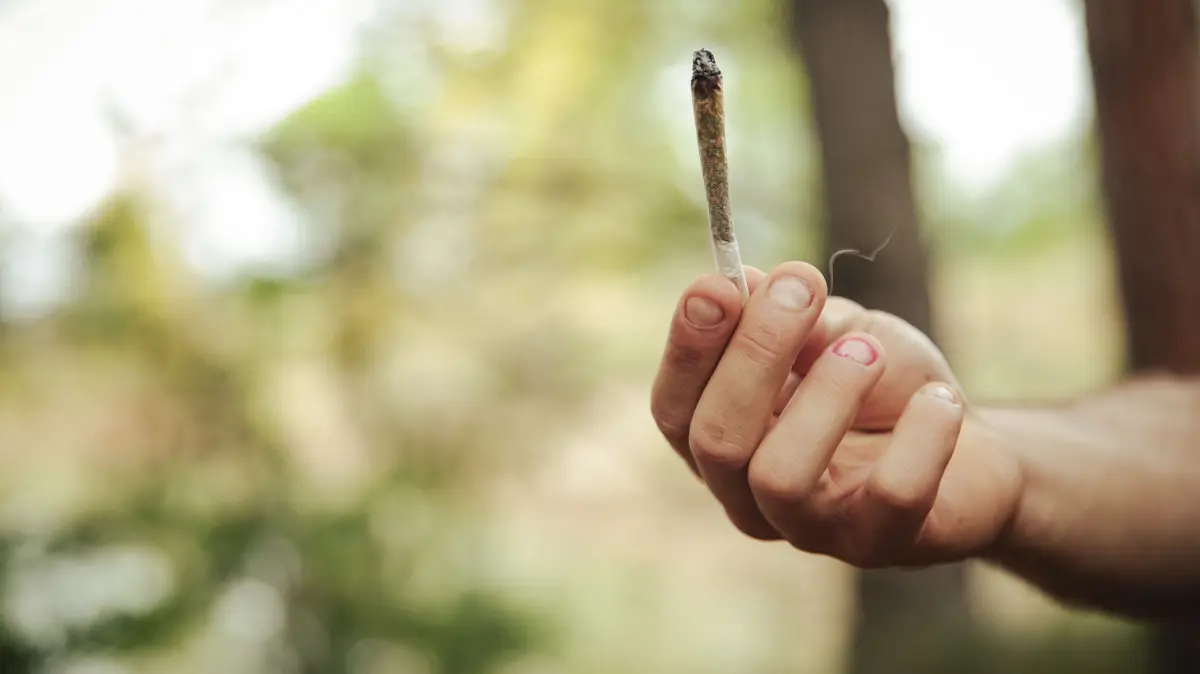Close-up of a hand holding a marijuana cigarette in a forest xkwx marijuana, cigarette, unhealthy, adults, one person, outdoors, teen, millennials, people, casual, andorra, leisure, hand, joint, hashish, narcotics, drug addiction, drug abuse, addiction, young man, caucasian, rolling, lifestyle, cannabis, spain, bad habit, recreational drug, unhealthy living, close-up, retirement, old, man, table, holding, paper, medicine, science, attractive, head, mid adult men, smoking, smoke, escapism, 20s, Huesca, Aragon, Of Age for Alcohol, Twenties, Drinking Age, Early Twenties, 21-25 Years Old, Male, White