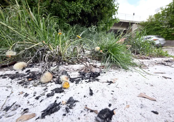 Obduktion nach Brand in Karlsruhe - Wer ist der Tote?