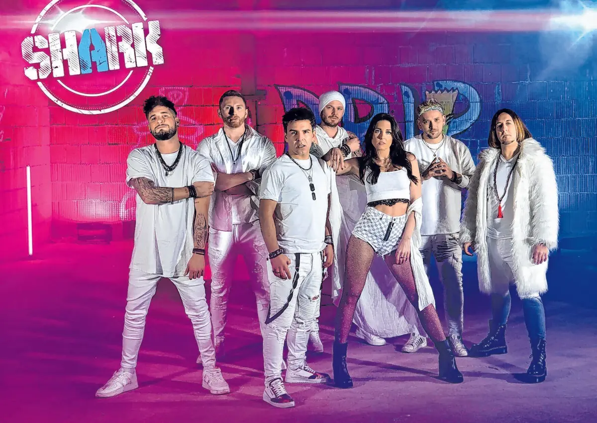 Die Partyband „Shark“ kommt mit energiegeladenen Coverversionen.