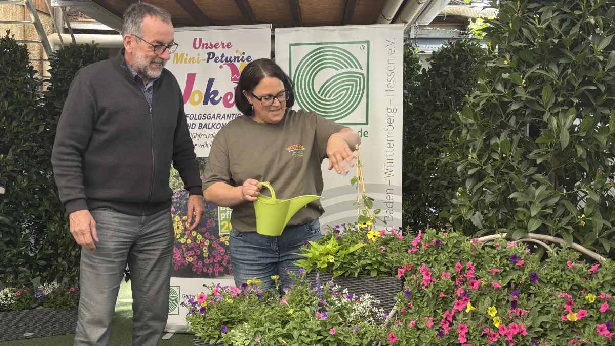 Volker Kugel und Katrin Vatter taufen den „Joker“ zur Beet- und Balkonpflanze des Jahres. Die Mini-Petunie leuchtet in Pink, Violett und Gelb.