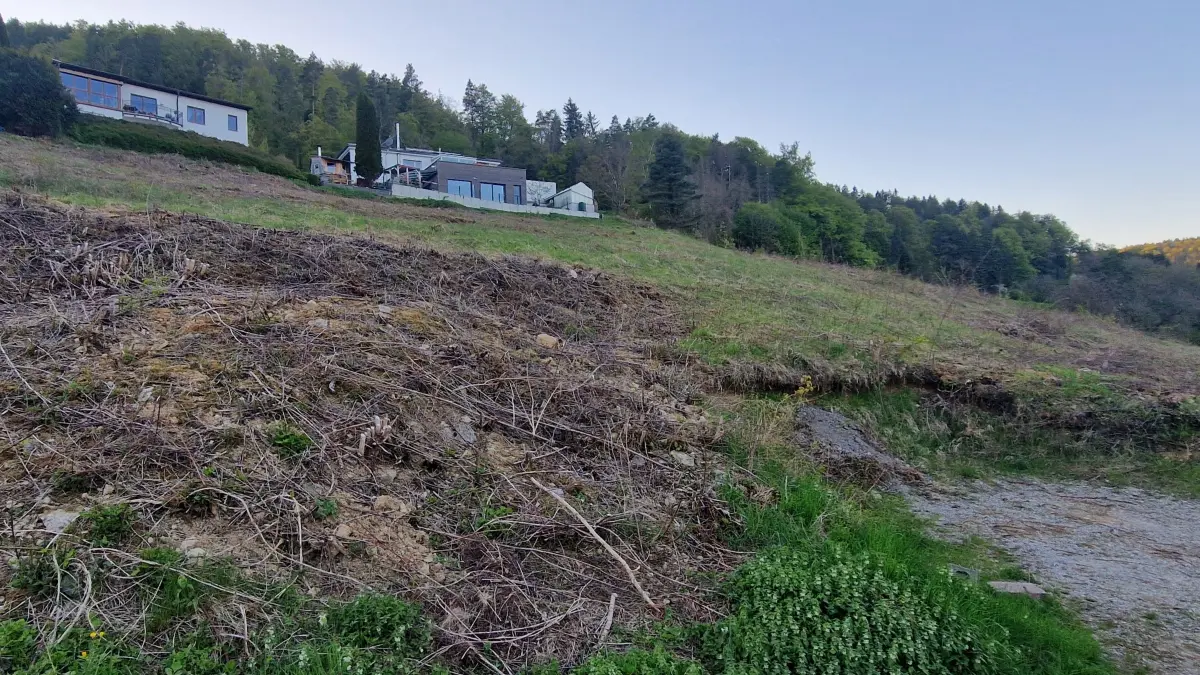 Die Ruhe vor dem Baggerbiss: Am kommenden Dienstag entscheidet der Gemeinderat, ob auf dieser Grünfläche am Knieacker der Bauturbo gezündet wird – gegen den erklärten Willen der direkten Nachbarschaft.