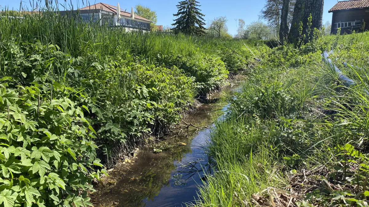 Siegentalbach Altheim Sportplatz Renaturierung ist geplant