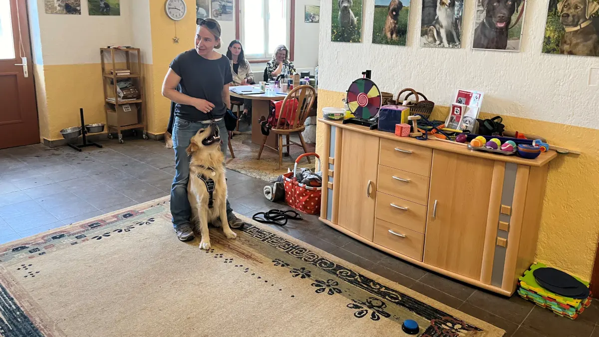 Marley wird in Hochdorf zum Schulhund ausgebildet. Er muss warten, bevor er auf den Knopf drückt, der ihn vorstellt. Er hegt große Vorfreude. Damit er zur Ruhe findet, darf er bei seiner Halterin "einparken"