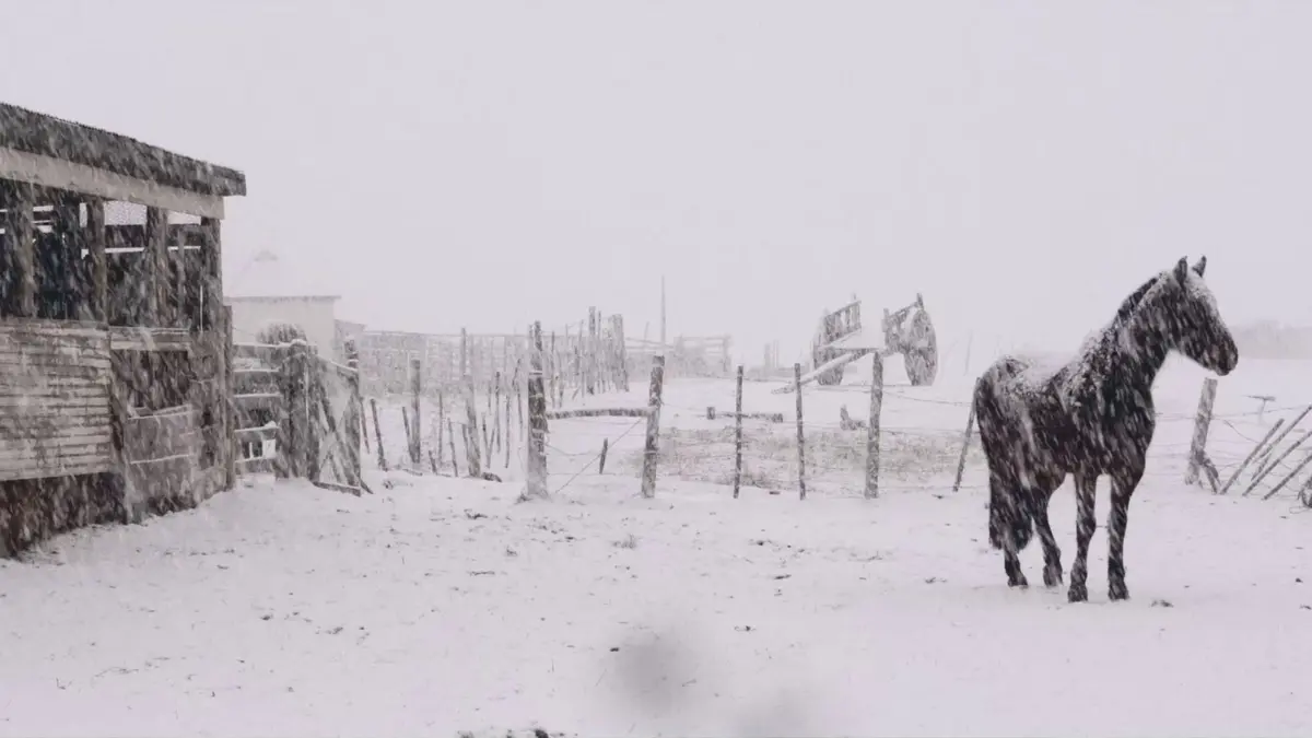Al sur del inverno está la nieve