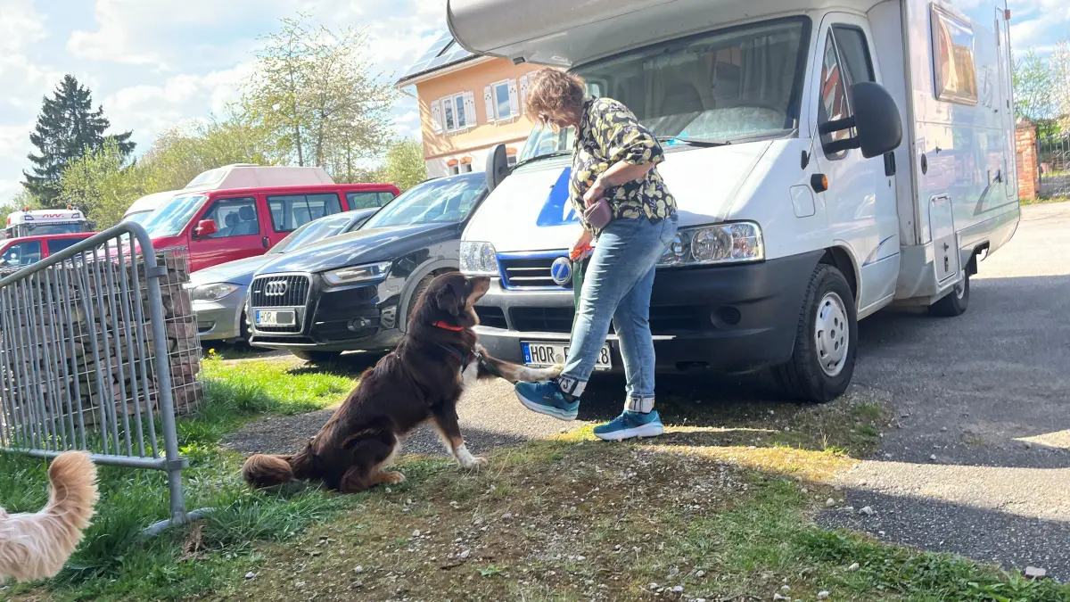 Lucky übt als kontaktlose Begrüßung für die Kinder ein, seine Pfote auf den Fuß zu legen. Sozialarbeiterin Eva-Maria Lutz arbeitet mit ihm im Hochdorfer Ausbildungszentrum für helfende Hunde