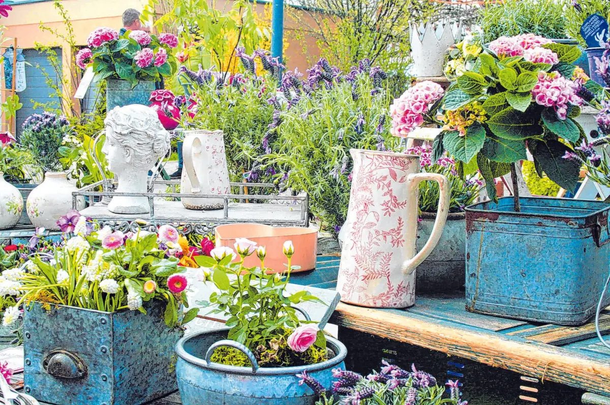 Schafe, Kunst und Garten 2026, Blumenstand⇥Stadt Münsingen