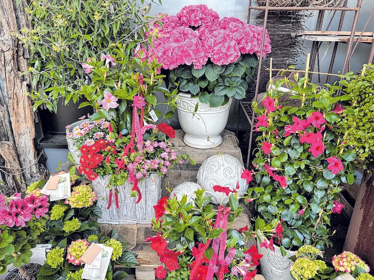 Am Sonntag, 26. April, ist Saison-Eröffnung bei Blumen Jetter in Balingen.⇥Firmenfotos