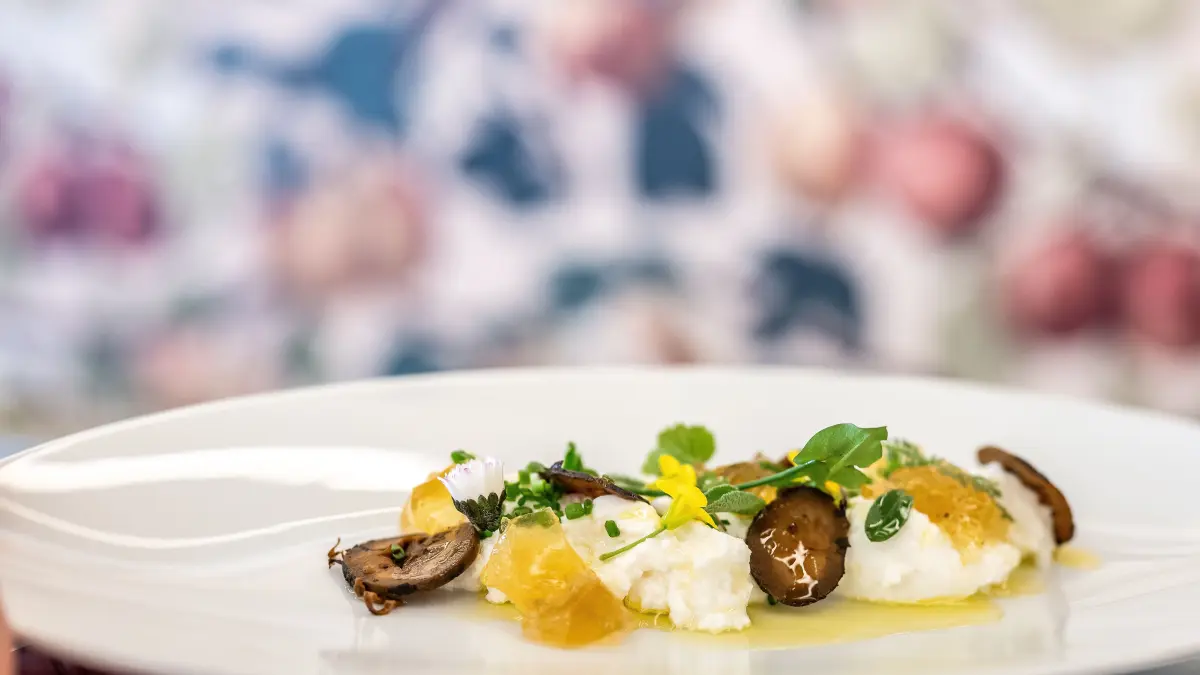 Erster Gang: Ziegenfrischkäse mit Löwenzahnblütengelee, Wildkräutern und schwarzen .