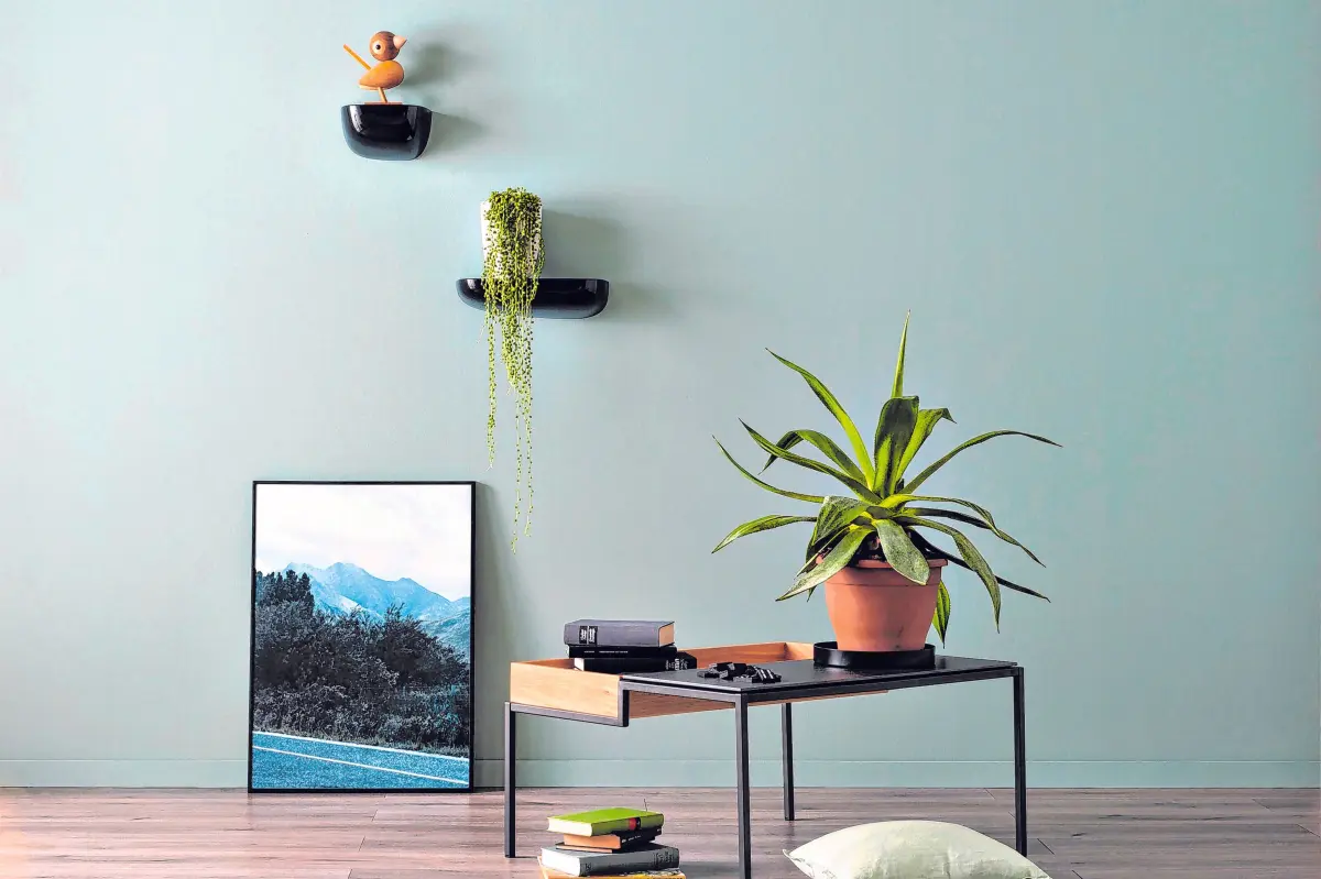 Zimmerpflanzen verstärken in grünen Räumen das Gefühl von natürlicher Frische. Foto: djd/SCHÖNER WOHNEN-Kollektion⇥Honorarfrei