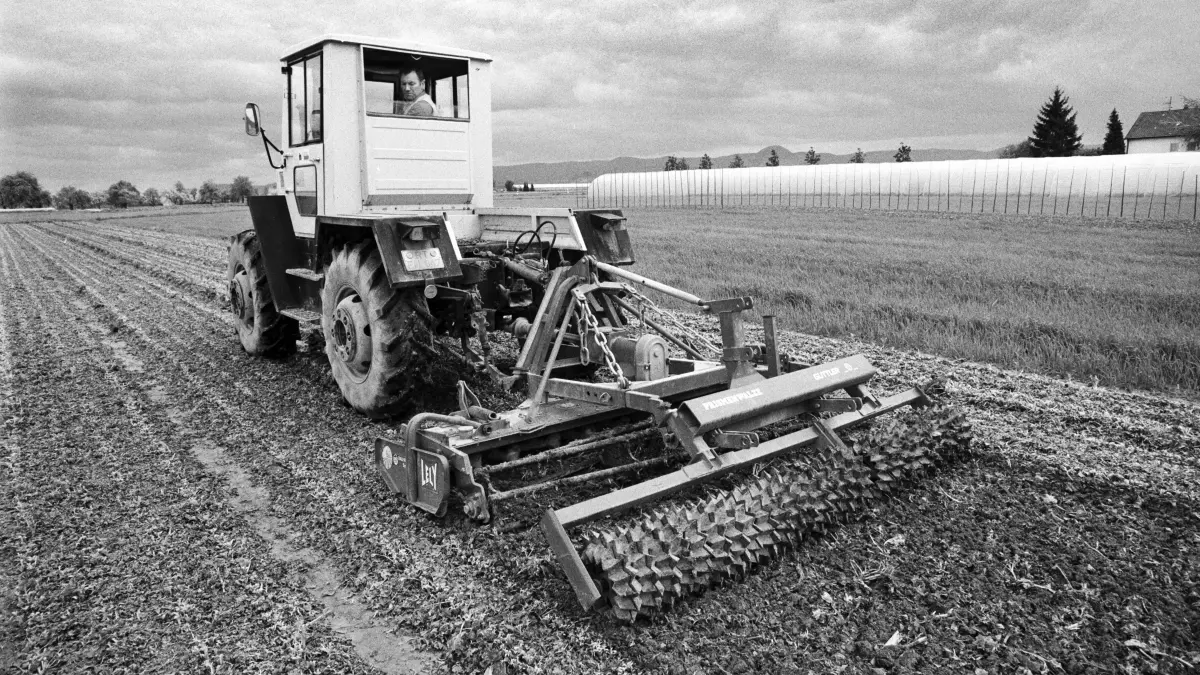 Nach dem Super-Gau von Tscherobyl wird von Gärtner Hespeler bei Wannweil ein atomverseuchtes Spinatfeld umgepflügt.