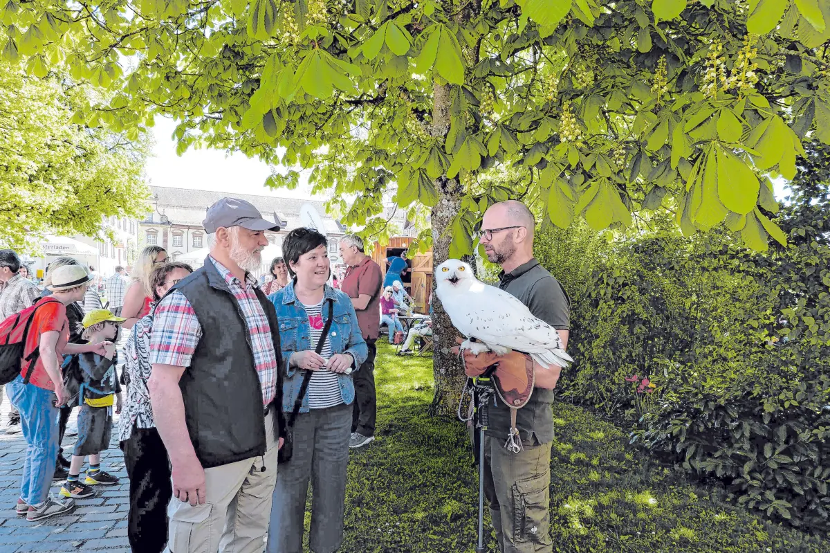 Klosterfest Kloster Kirchberg⇥Honorarfrei