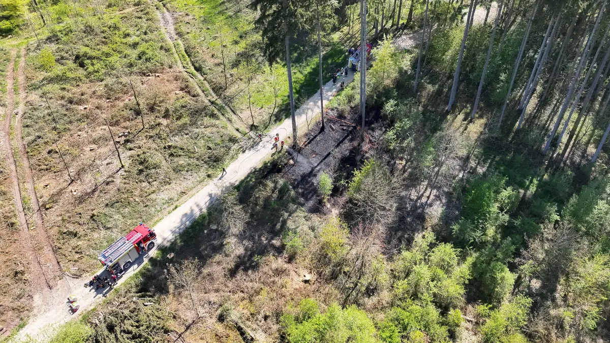 Rund 300 Quadratmeter Wald brannten am Samstagnachmittag.