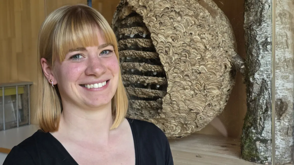 Die Biologin Carolin Rein neben einem präparierten Nest Asiatischer Hornissen in ihrem Büro in der Landesanstalt für Bienenkunde.