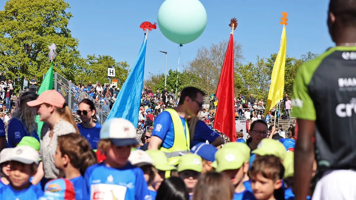 Bunte Fahnen mit den Tieren der Startgruppen: einfache Hilfe, den richtigen Lauf zu finden.