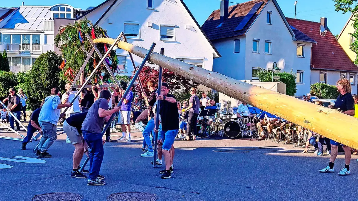 In Rangendingen stellen die Jägen den Maibaum mit Muskelkraft.