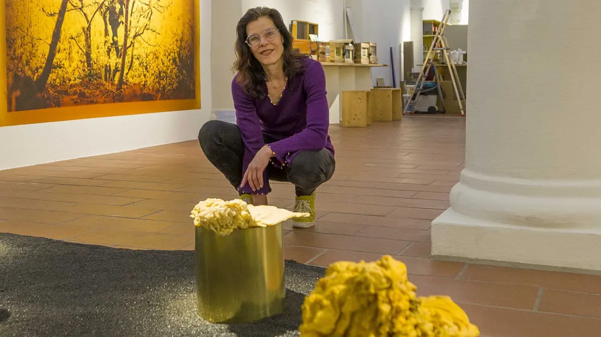 Museum Brot und Kunst: Pressegespräch zur Ausstellung "Honig für Kunst und Gesellschaft – Wie Bienen uns inspirieren"