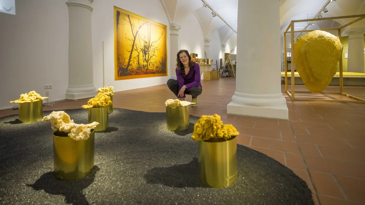 Museum Brot und Kunst: Pressegespräch zur Ausstellung "Honig für Kunst und Gesellschaft – Wie Bienen uns inspirieren"