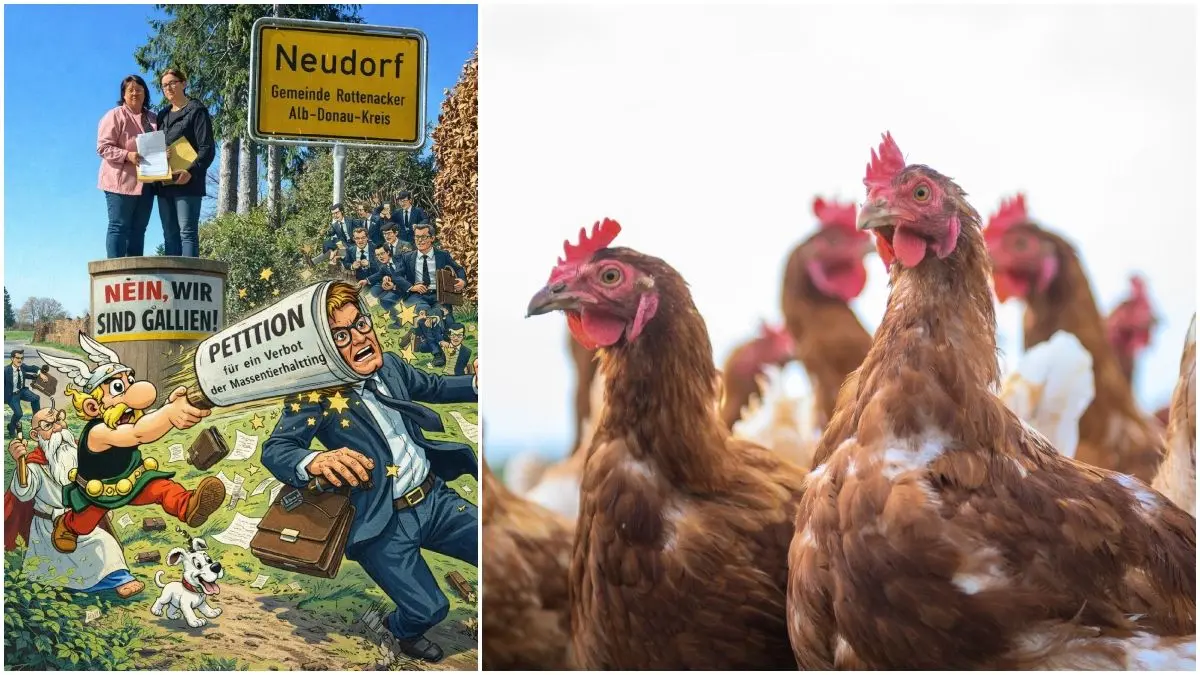 Die Illustration links schickte Tanja Proksch an Landrat Heiner Scheffold. Die Bürgerinitiative will den Bau eines Hähnchenmaststalls in Neudorf verhindern.