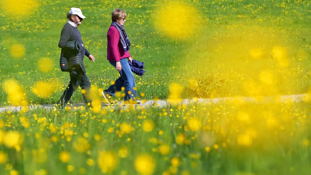 Wetter in Bayern: 28.04.2026, Bayern, Gmund Am Tegernsee: Ein Paar läuft über einen Weg, der von Butterblumen gesäumt ist. Foto: Malin Wunderlich/dpa +++ dpa-Bildfunk +++