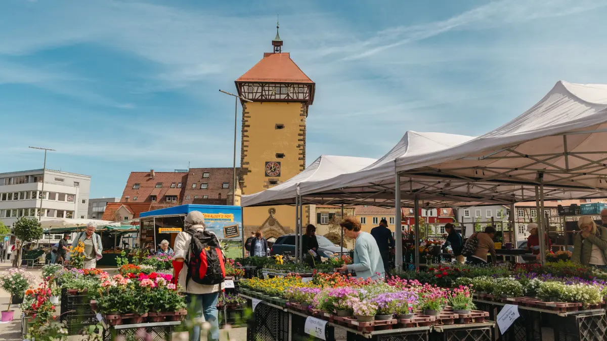 Wochenmarkt Markt Reutlingen Marktplatz Stadthalle Bürgerpark Leitungssanierung Marktplatz